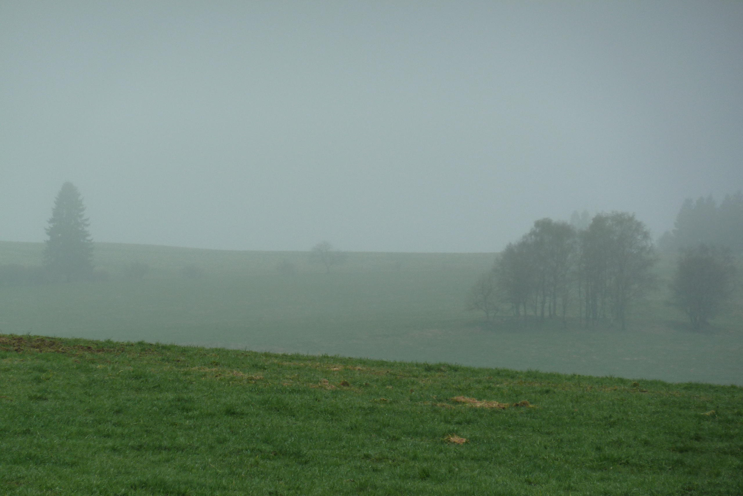 Nebellandschaft kurz vor Krumlov